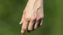  Hand Veins